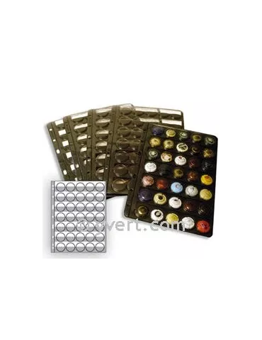 Recharge CHAMP35 : 35 capsules