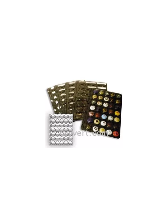 Recharge CHAMP35 : 35 capsules