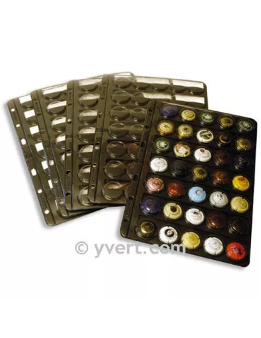 Recharge CHAMP35 : 35 capsules 2