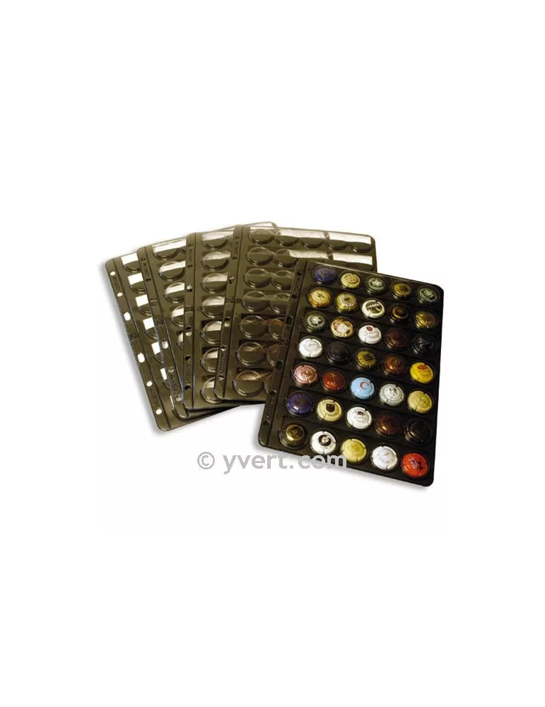Recharge CHAMP35 : 35 capsules