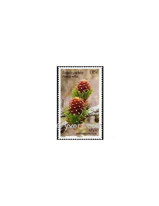 n° 994 - Timbre Saint-Pierre et Miquelon Poste