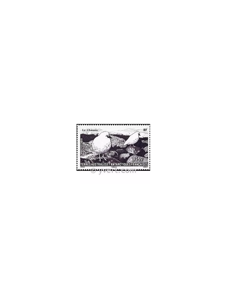 n° 582 - Timbre TAAF Poste