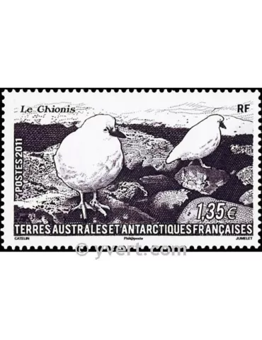 n° 582 - Timbre TAAF Poste 2