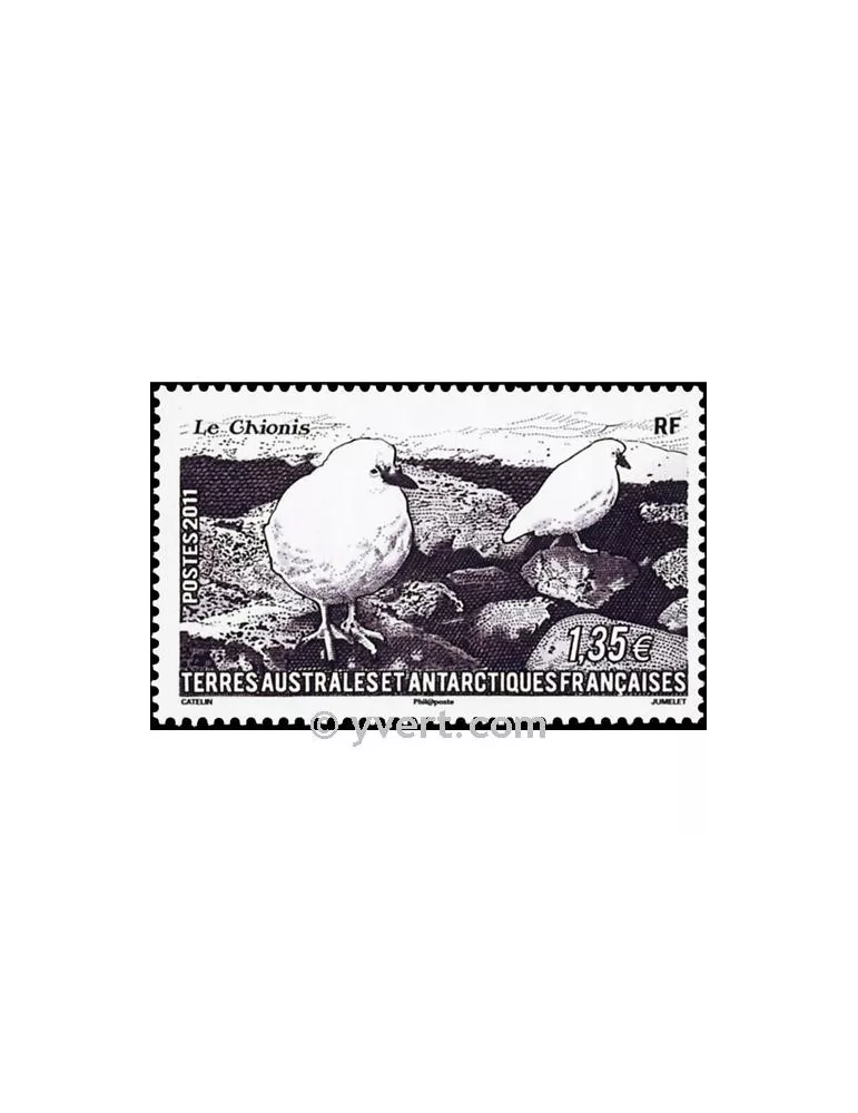 n° 582 - Timbre TAAF Poste