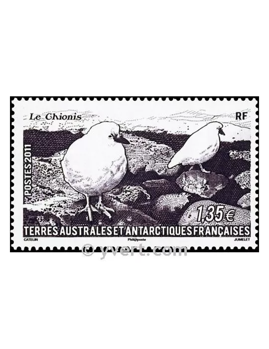 n° 582 - Timbre TAAF Poste