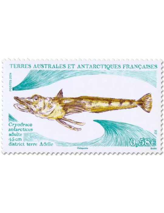 n° 1075/1076 - Timbre TAAF Poste