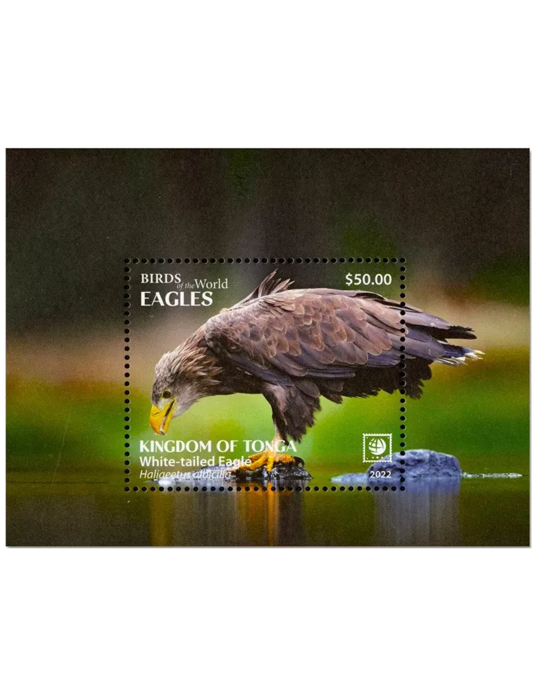 n° 128/131 - Timbre TONGA Blocs et feuillets