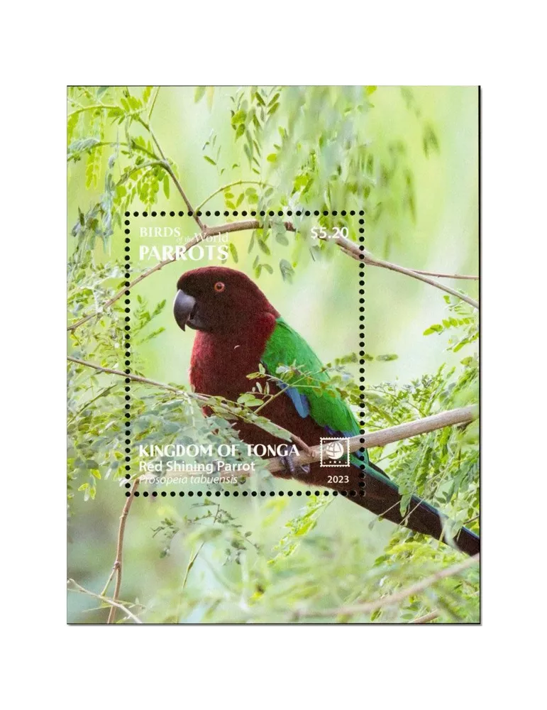 n° 132/135 - Timbre TONGA Blocs et feuillets