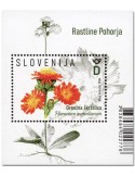 n° 156 - Timbre SLOVENIE Blocs et feuillets