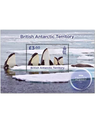 n° 31 - Timbre ANTARCTIQUE BRITANNIQUE Blocs et feuillets