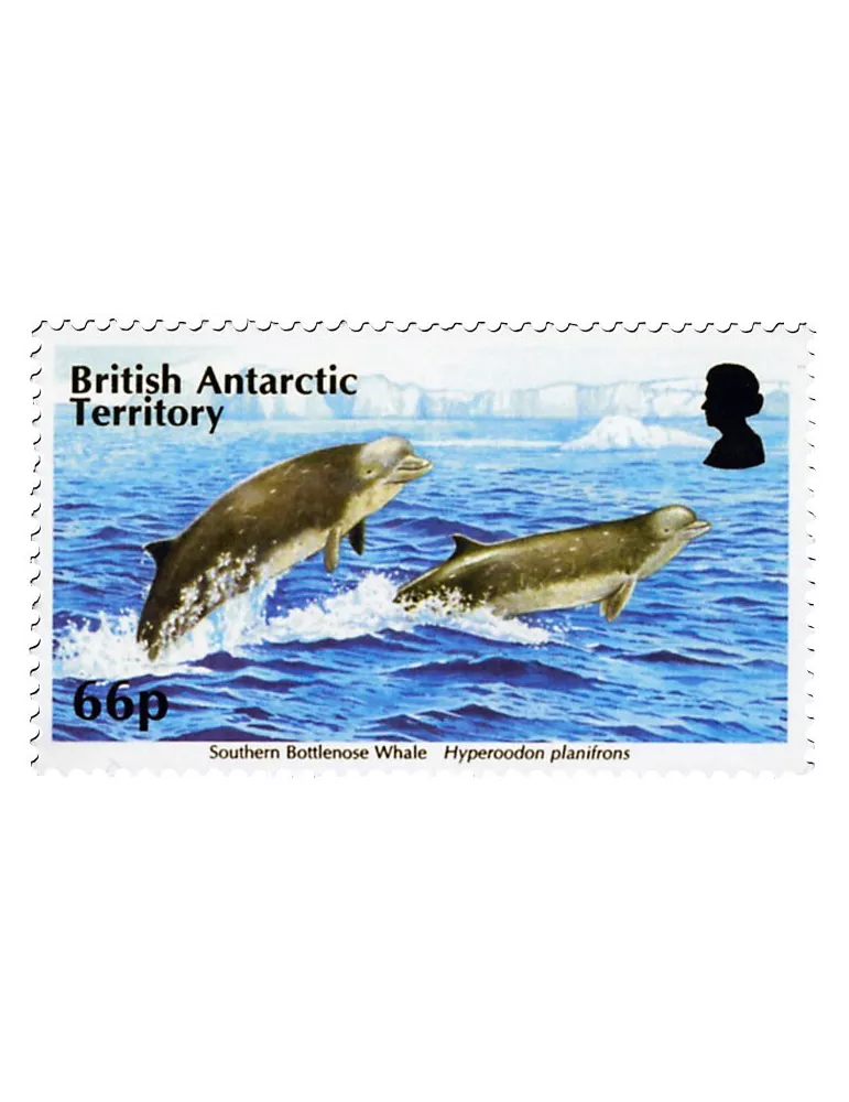 n° 660 - Timbre ANTARCTIQUE BRITANNIQUE Poste
