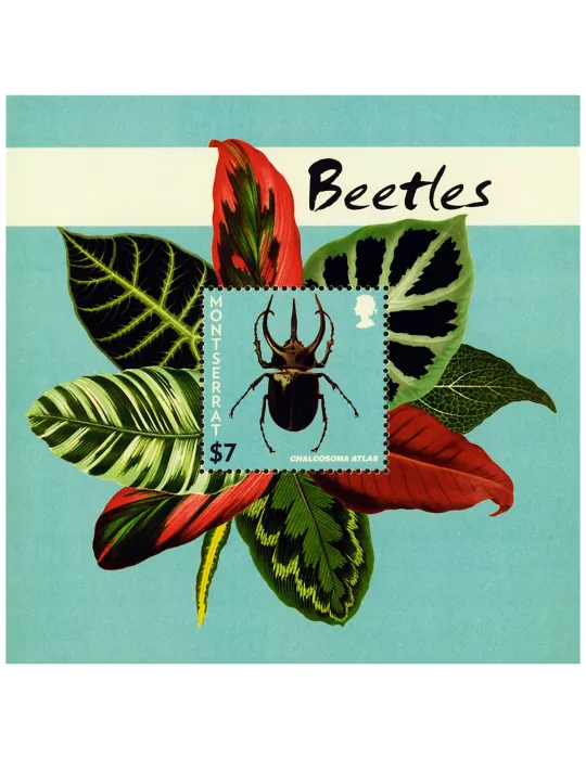 n° 164 - Timbre MONTSERRAT Blocs et feuillets