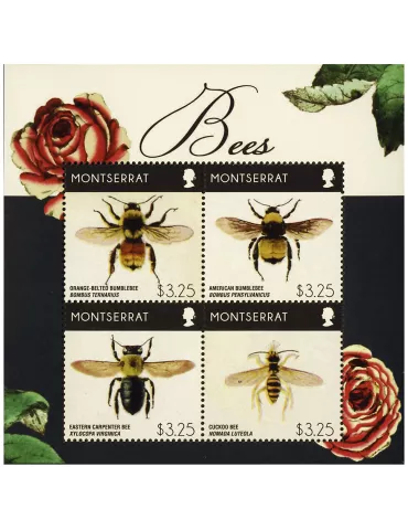 n° 1572 - Timbre MONTSERRAT Poste