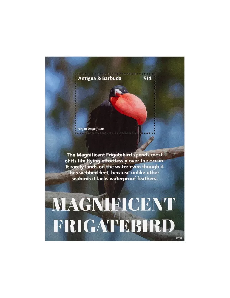 n° 830 - Timbre ANTIGUA Blocs et feuillets