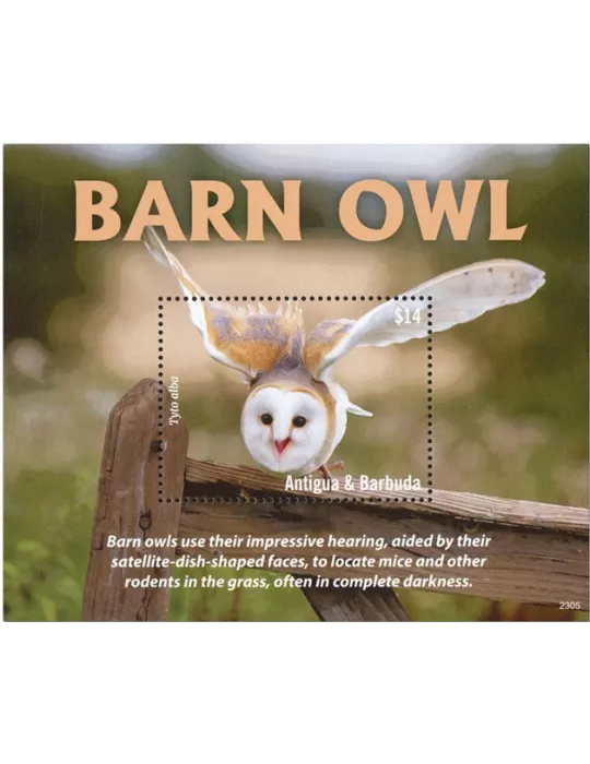 n° 836 - Timbre ANTIGUA Blocs et feuillets