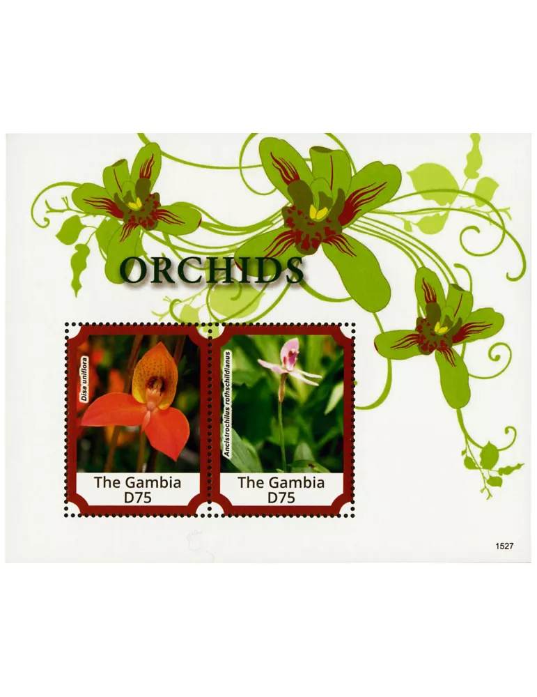 n° 852 - Timbre GAMBIE Blocs et feuillets