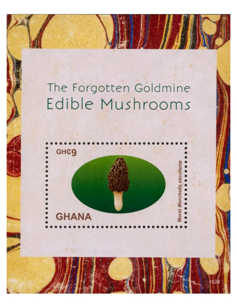 n° 539 - Timbre GHANA Blocs et feuillets