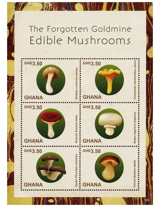 n° 3627 - Timbre GHANA Poste