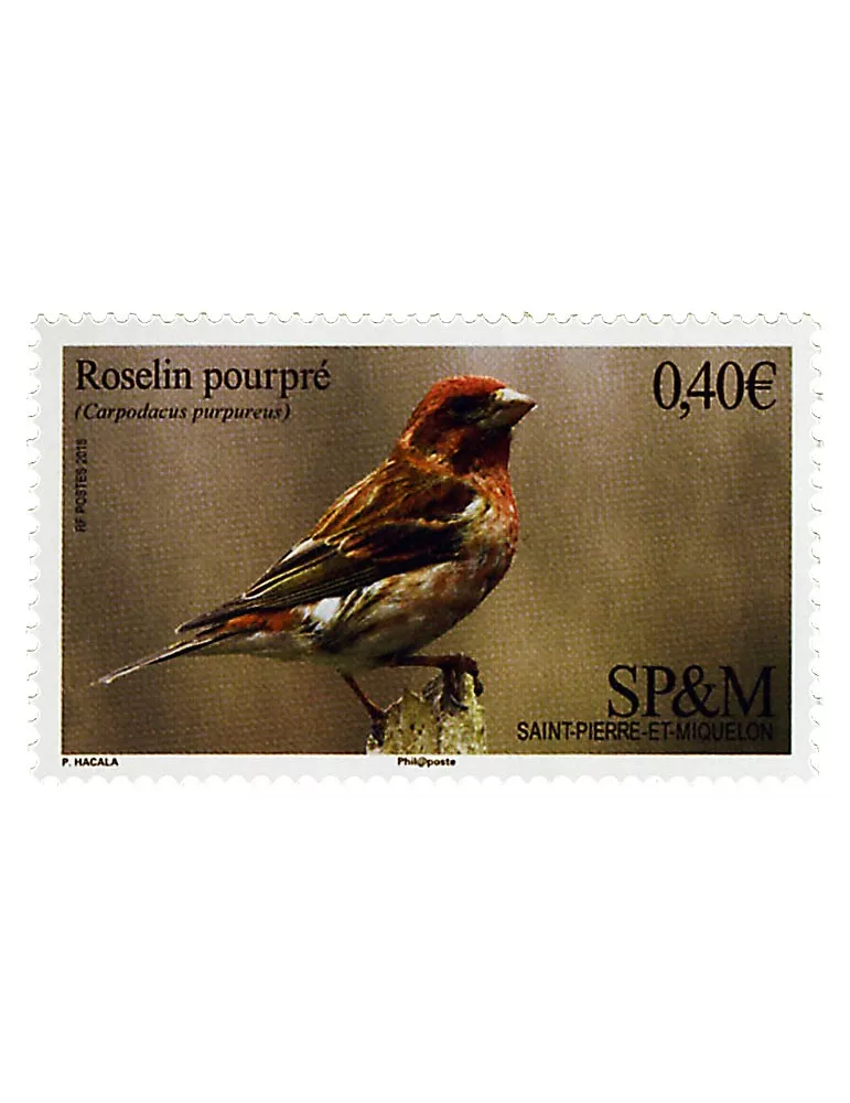 n°1148 - Timbre Saint-Pierre et Miquelon Poste