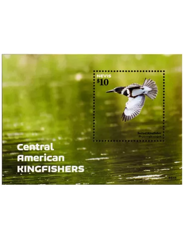 n° 367 - Timbre NEVIS Blocs et feuillets