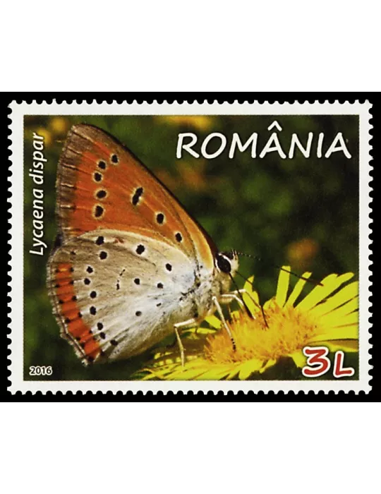 n° 6005 - Timbre ROUMANIE Poste