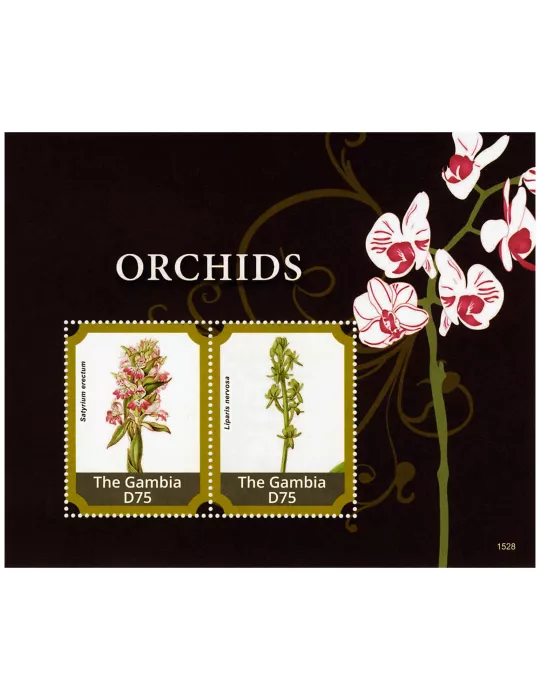 n° 853 - Timbre GAMBIE Blocs et feuillets