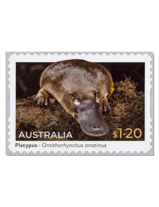 n° 5335a/5336a (la paire) - Timbre AUSTRALIE Poste