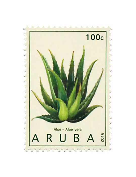 n° 909 - Timbre ARUBA Poste
