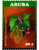 n° 918 - Timbre ARUBA Poste