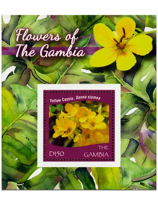 n° 868 - Timbre GAMBIE Blocs et feuillets