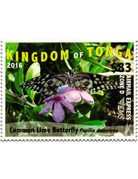 n° 1464A - Timbre TONGA Poste