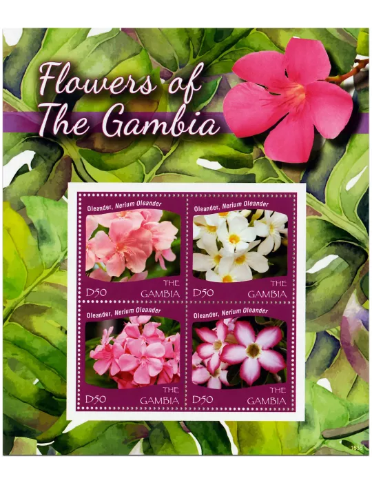 n° 5616 - Timbre GAMBIE Poste