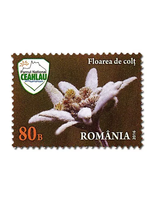 n° 6047 - Timbre ROUMANIE Poste