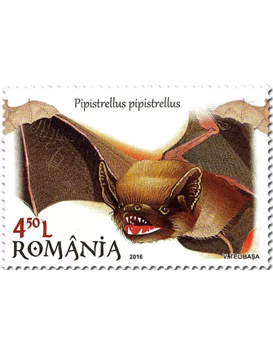 n° 6059 - Timbre ROUMANIE Poste