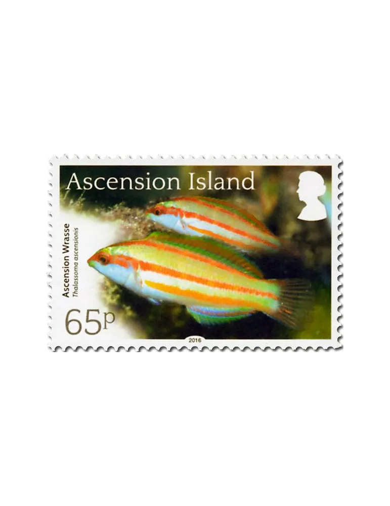 n° 1171 - Timbre ASCENSION Poste