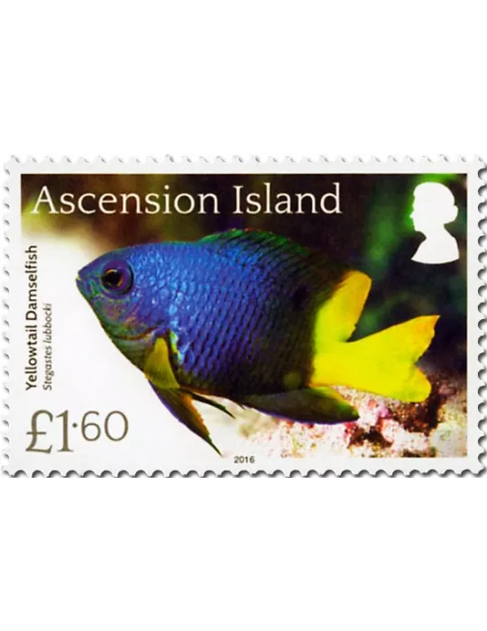 n° 1171 - Timbre ASCENSION Poste