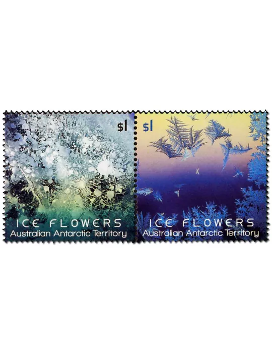 n° 238 - Timbre TERRITOIRE ANTARCTIQUE AUSTRALIEN Poste