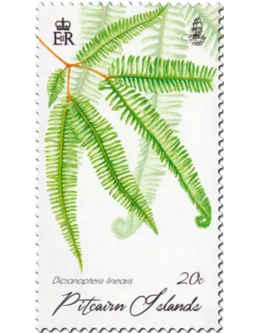 n° 883 - Timbre PITCAIRN Poste