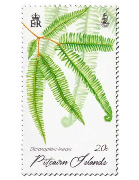 n° 883 - Timbre PITCAIRN Poste