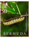 n° 1128 - Timbre BERMUDES Poste