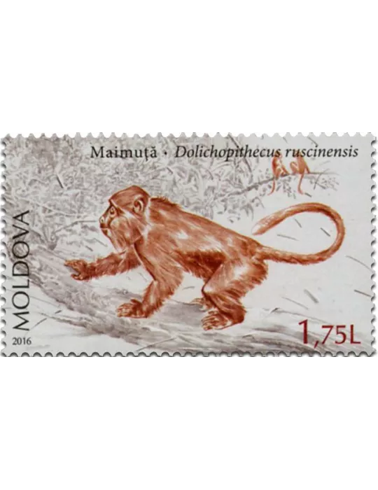 n° 850 - Timbre MOLDAVIE Poste