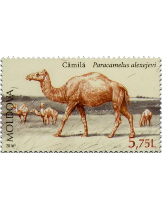 n° 850 - Timbre MOLDAVIE Poste