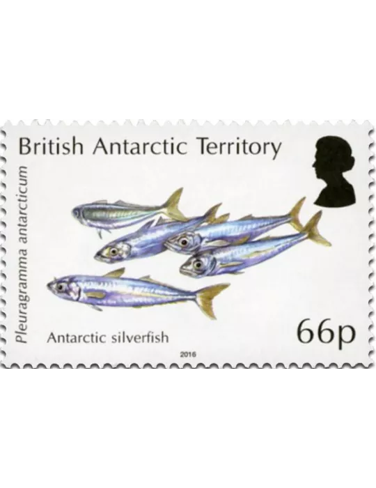 n° 697 - Timbre ANTARCTIQUE BRITANNIQUE Poste
