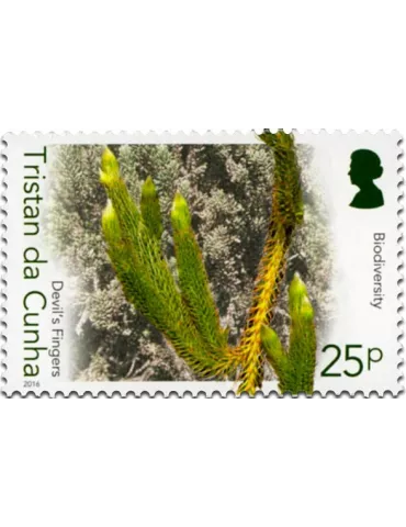 n° 1158 - Timbre TRISTAN DA CUNHA Poste