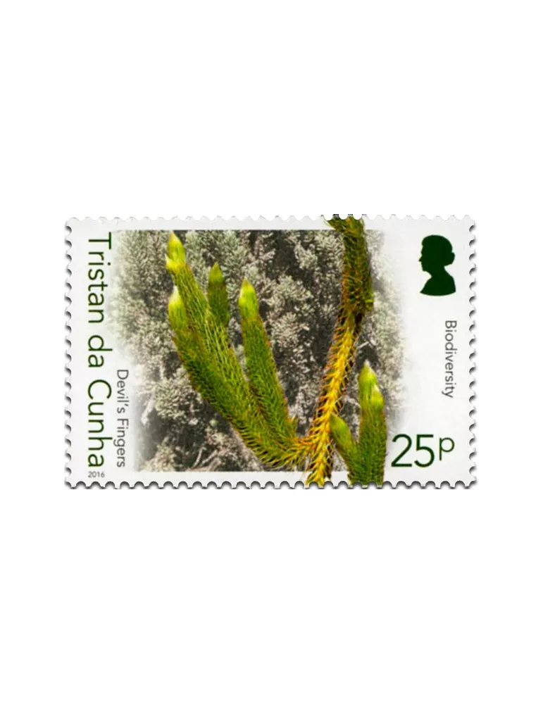 n° 1158 - Timbre TRISTAN DA CUNHA Poste