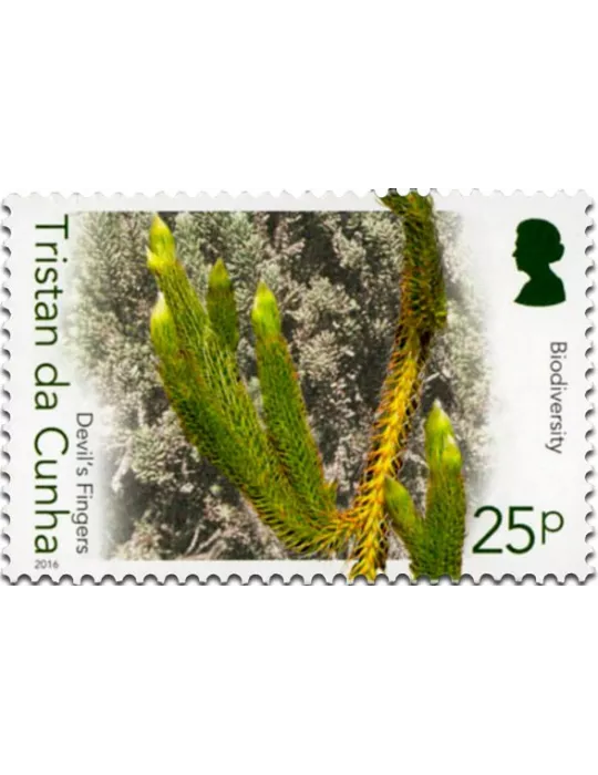 n° 1158 - Timbre TRISTAN DA CUNHA Poste