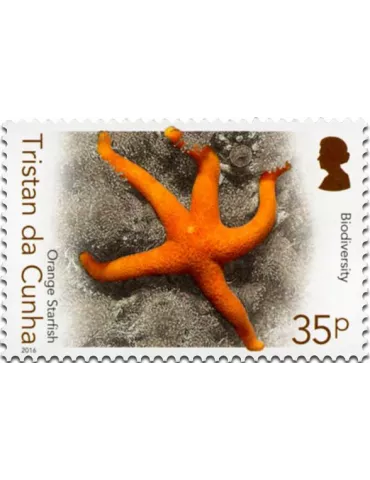 n° 1158 - Timbre TRISTAN DA CUNHA Poste 2