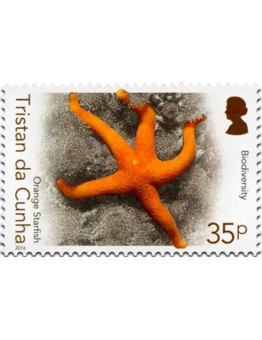 n° 1158 - Timbre TRISTAN DA CUNHA Poste