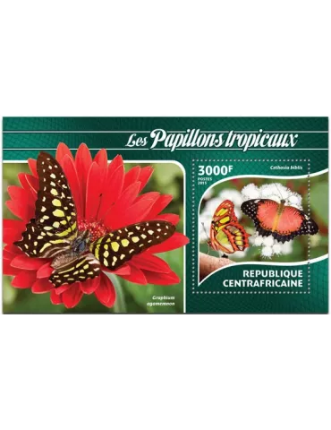 n° 795 - Timbre CENTRAFRIQUE Blocs et feuillets