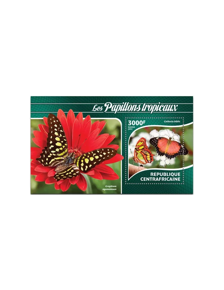 n° 795 - Timbre CENTRAFRIQUE Blocs et feuillets